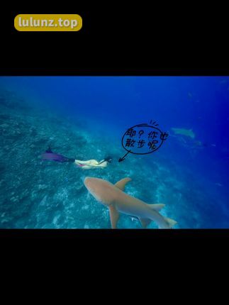 洁己u微密圈内秘密揭晓，探索她的微密圈内世界