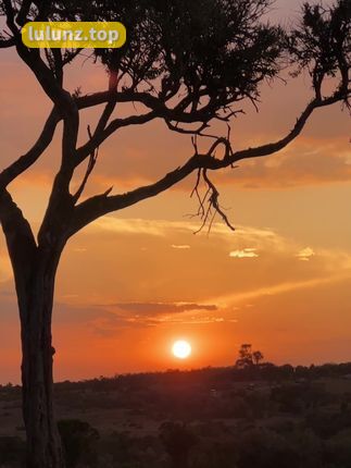 洁己u微密圈全新体验，湖南辣妹的私密生活画面抢先看