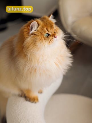 洁己u微密圈全新体验，湖南辣妹的私密生活画面抢先看