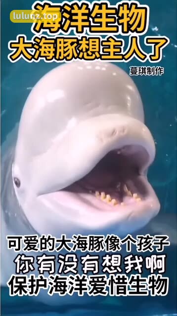 海豚baby微密圈精彩视频集锦，激情四射欲罢不能