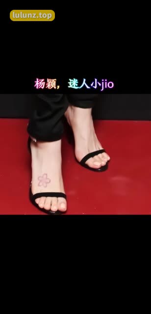 海豚baby微密圈限量特惠，VIP福利等你来抢