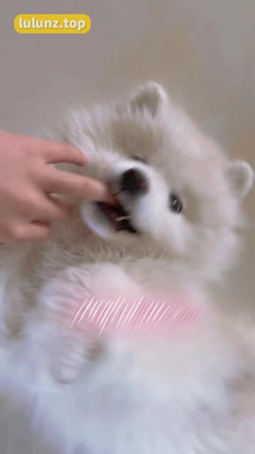 姐姐Lalion微密圈作品精选，细致呈现她的风采