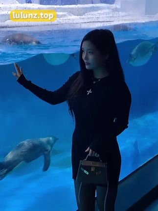 奶雯的圈子是什么？398元嘉宾与2888元VIP资源全解析