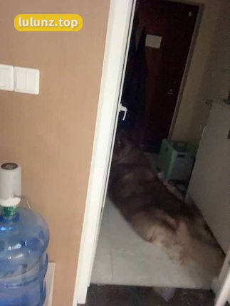 【微密圈】奶雯图集作品&amp;视频系列，打包下载