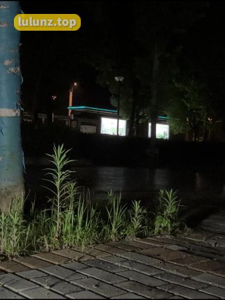 玉帛sama维密高清图片分享，微胖女神的绝美瞬间