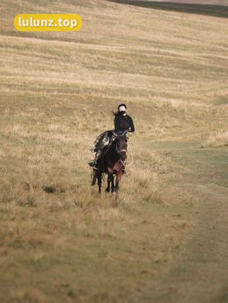 微密圈的MIYA，独家付费作品合集打包