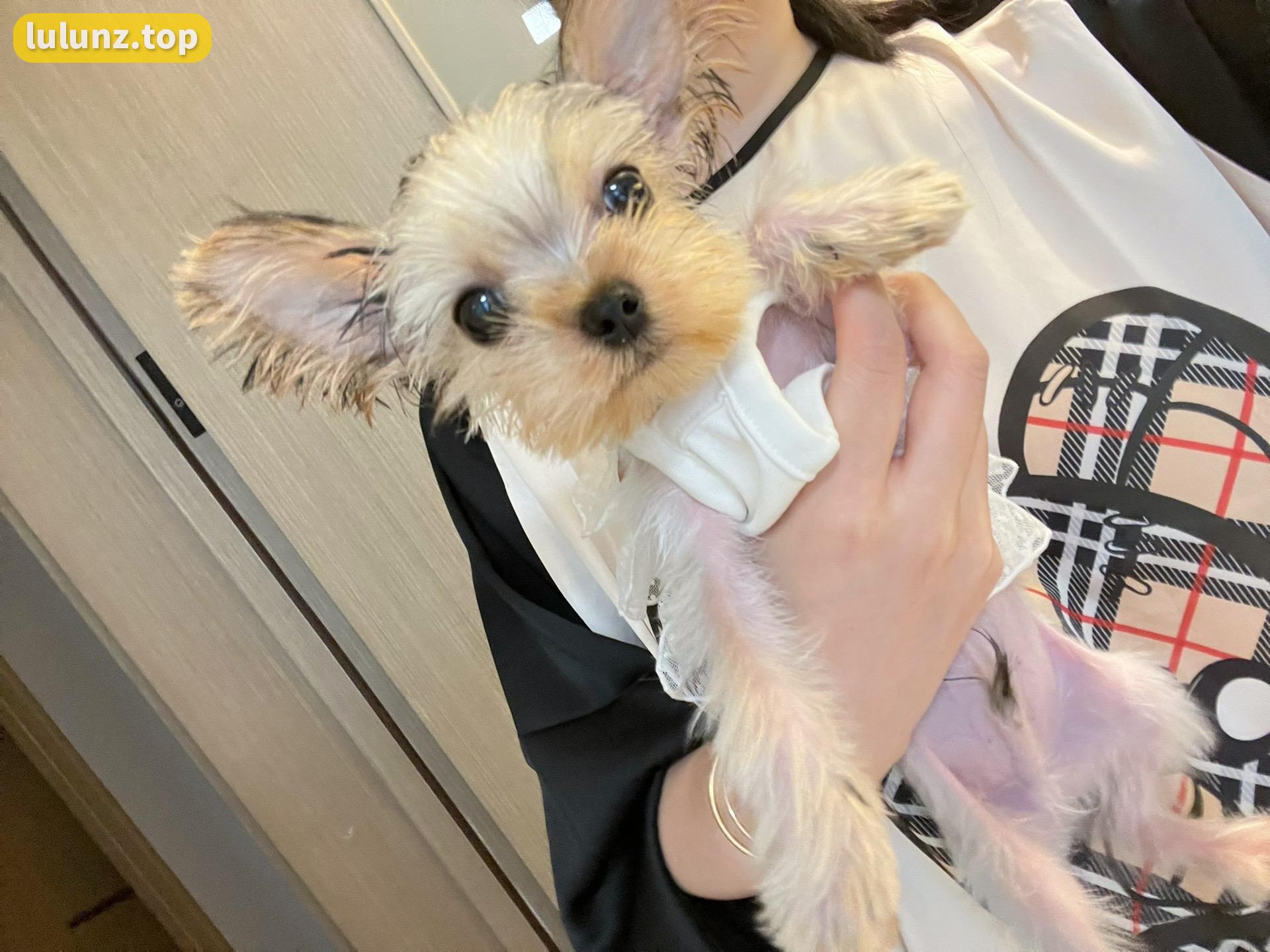 不爱笑的赛琳饭拍视频合集，独家资源大公开