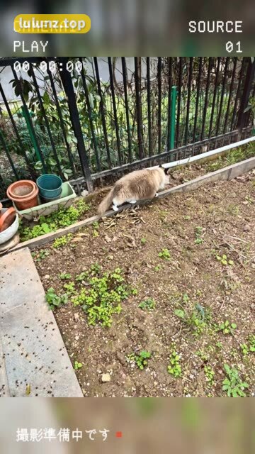 抖音张老师个人照片全集下载，张贺玉最新资源获取指南