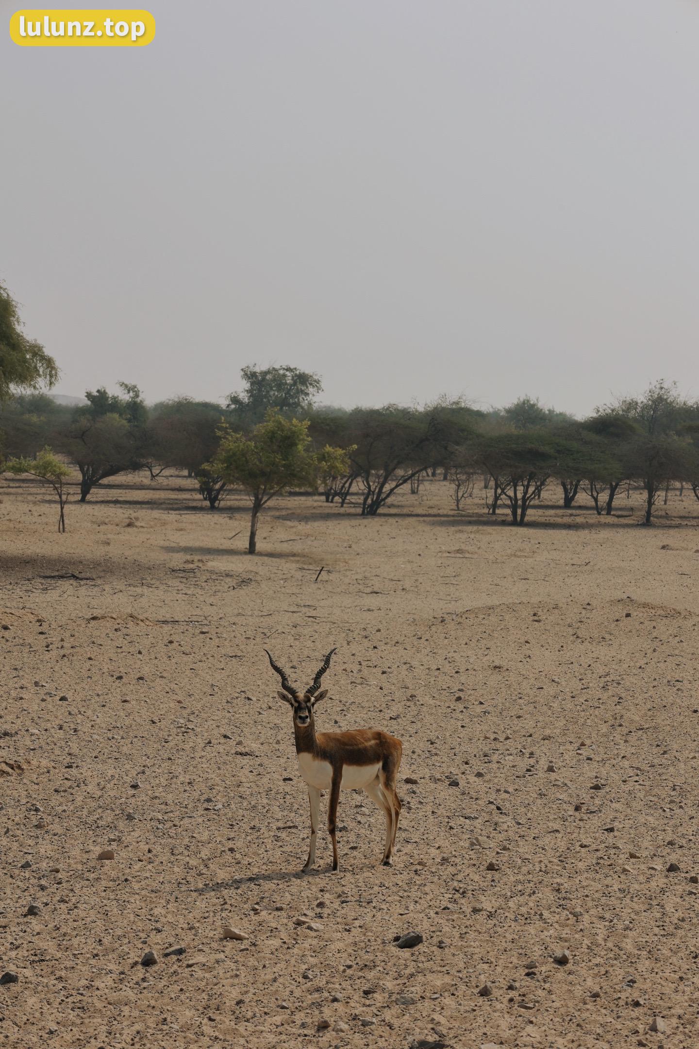 左公子666微密圈资源下载，微密圈中的视频图集合集