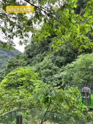 微密圈左公子666视频全集，网红女神的微密圈内容