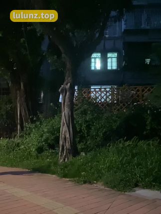 抖音VC独角兽微密资源，限时下载最新合集