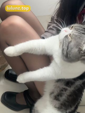 巨恶小锯鳄微密“我开心你意”网红的最新互动故事