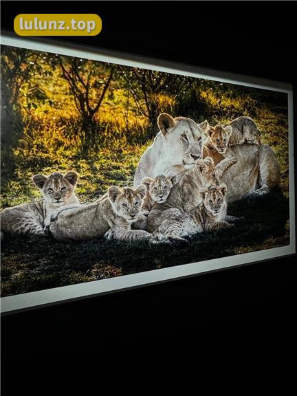 张鑫Amy私密写真她的黑色蕾丝装性感十足，独家图集视频双重呈现