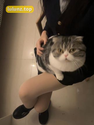 巨恶小锯鳄微密圈付费作品合集，网红热门资源打包下载