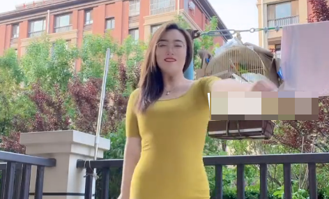 抖音你的蜜桃姨微密圈有什么?(你的蜜桃姨图片精选作品)-1 抖音你的蜜桃姨微密圈有什么?(你的蜜桃姨图片精选作品)