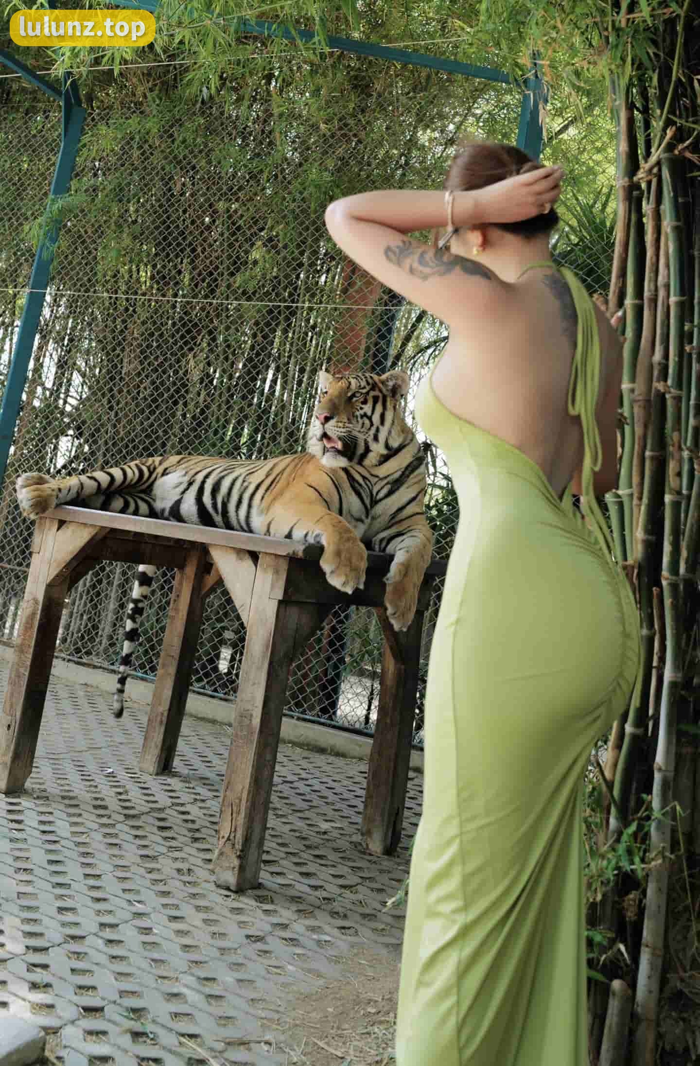 洁己u圈子微密圈作品资源，动感力量与女性魅力的完美结合