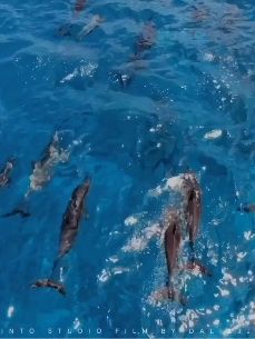 洁己up是从事什么职业的？揭秘她的职业身份