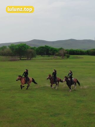 MIYA(米娅)呼伦贝尔骑马，草原上的美丽瞬间