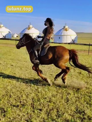 腿模MIYA美腿写真,紧身窄裙的性感全集