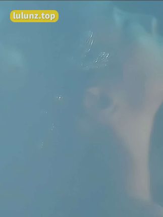 猪小七女帝装图片欣赏，猪小七的霸气造型解析