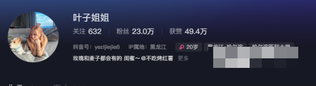 -1 新宠儿叶子姐姐微密圈美丽瞬间与个人魅力的完美诠释