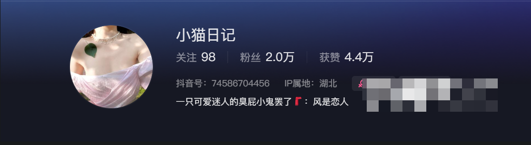 抖音网红小猫日记微密圈，和可爱的小猫一起发现生活中的美好