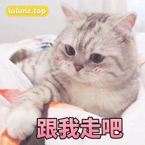 豆奶泡泡微密照片资源怎么回事？