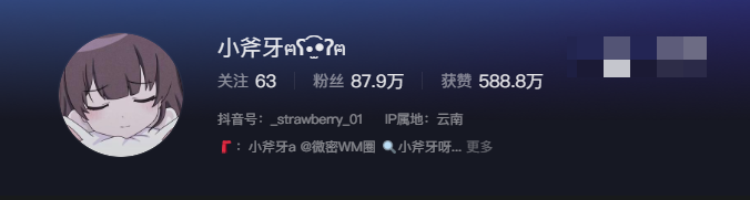 抖音网红小斧牙呀微密圈资源什么梗？