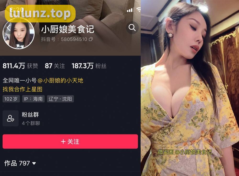小厨娘美食记微密20部劲爆视频在哪里看