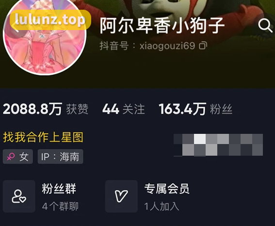 阿尔卑香小狗子微密圈用镜头记录成长，华丽风采吸引眼球