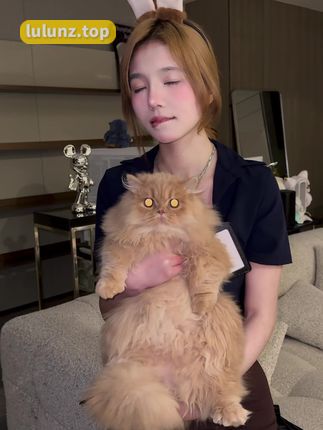 抖音八酱微密圈作品视频完整版,欣赏她超高颜值和才华的开心选择