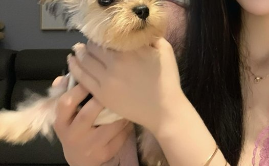 不爱笑的赛琳微密圈写真，颜值与魅力的全方位解析