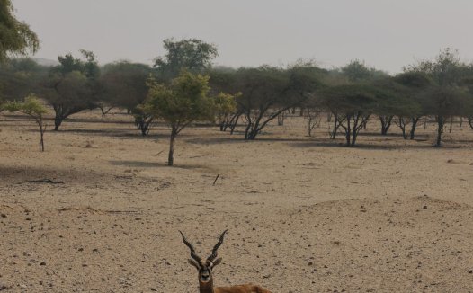 左公子666微博最新图片合集，微密圈的私密生活大揭秘
